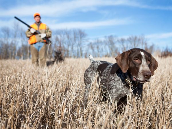 Przewodnik dla początkujących po polowaniach: Co musisz wiedzieć