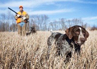 Przewodnik dla początkujących po polowaniach: Co musisz wiedzieć